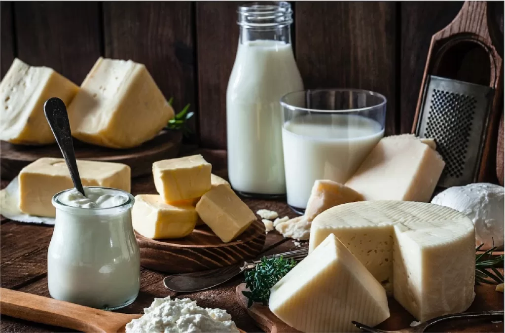 alimenti che contengono proteine del latte
