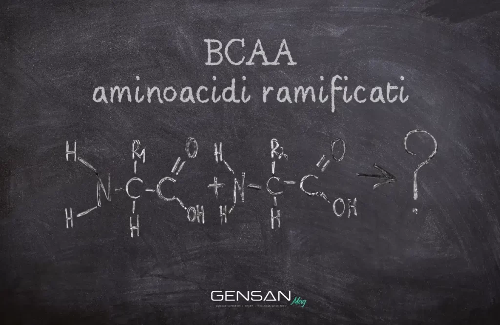 BCAA aminoacidi ramificati