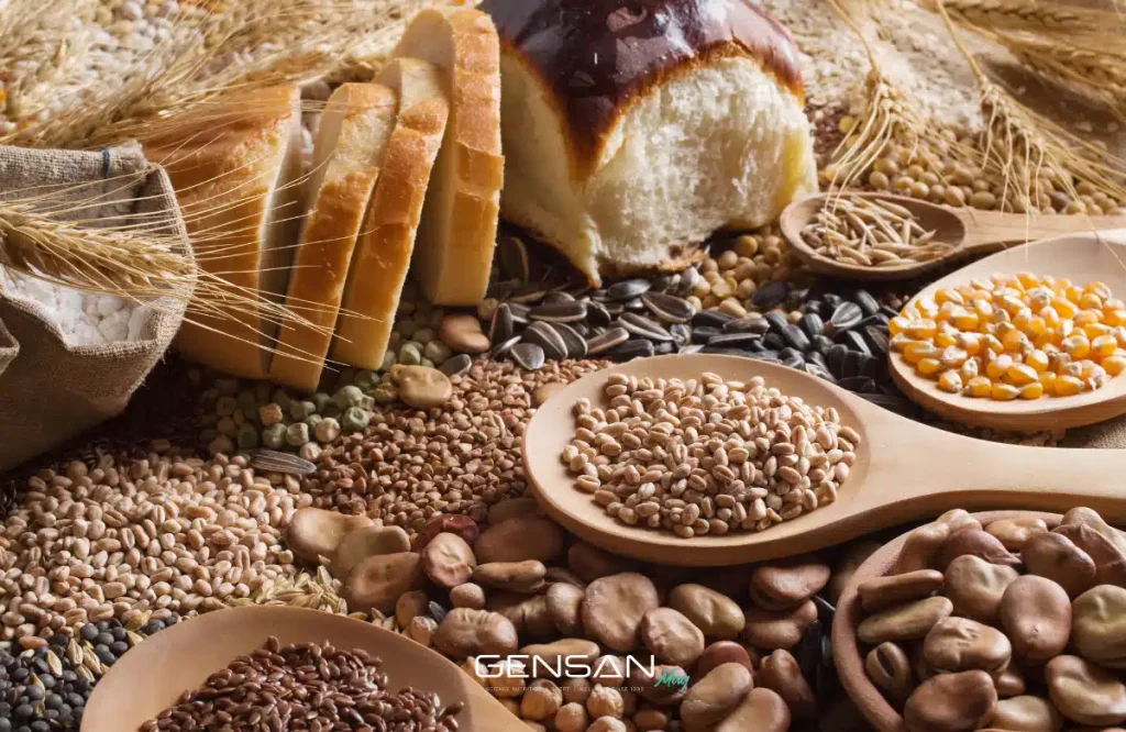 cereali e cibi integrali
