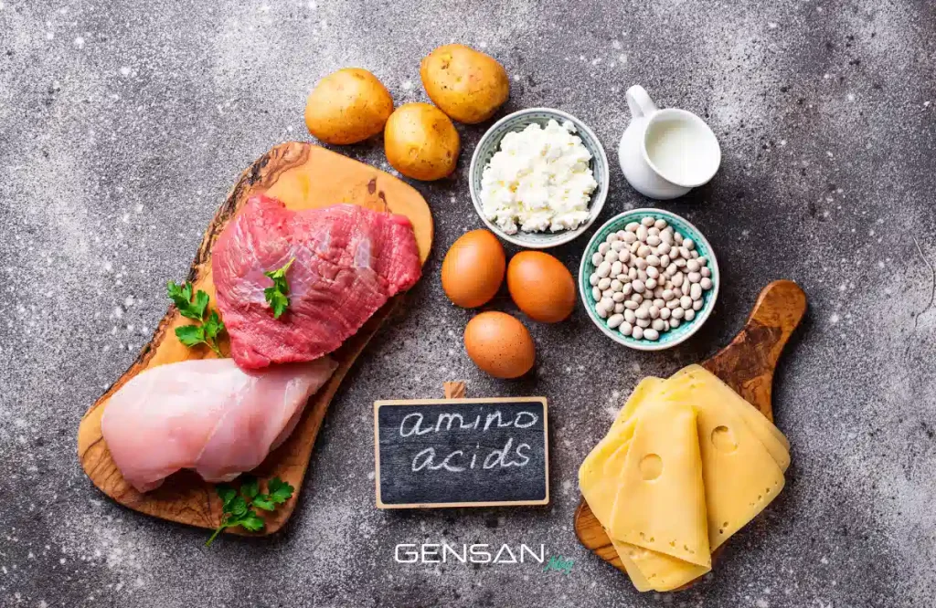 cibi che contengono aminoacidi
